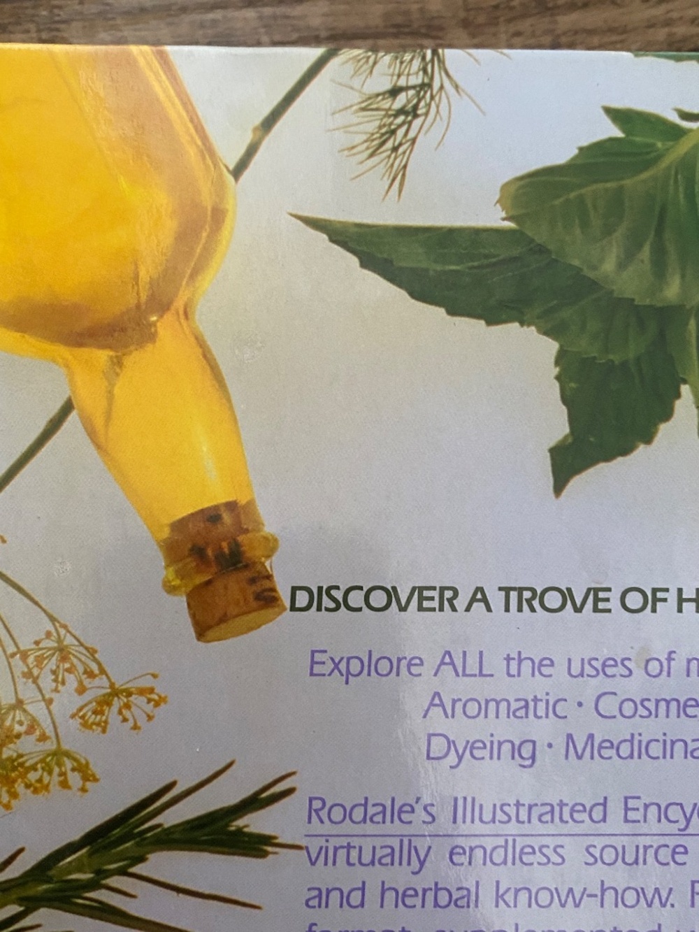 Rodale's Illustrated Encyclopedia of Herbs, Claire Kowalchik & William Hylton - Picture 5 of 14